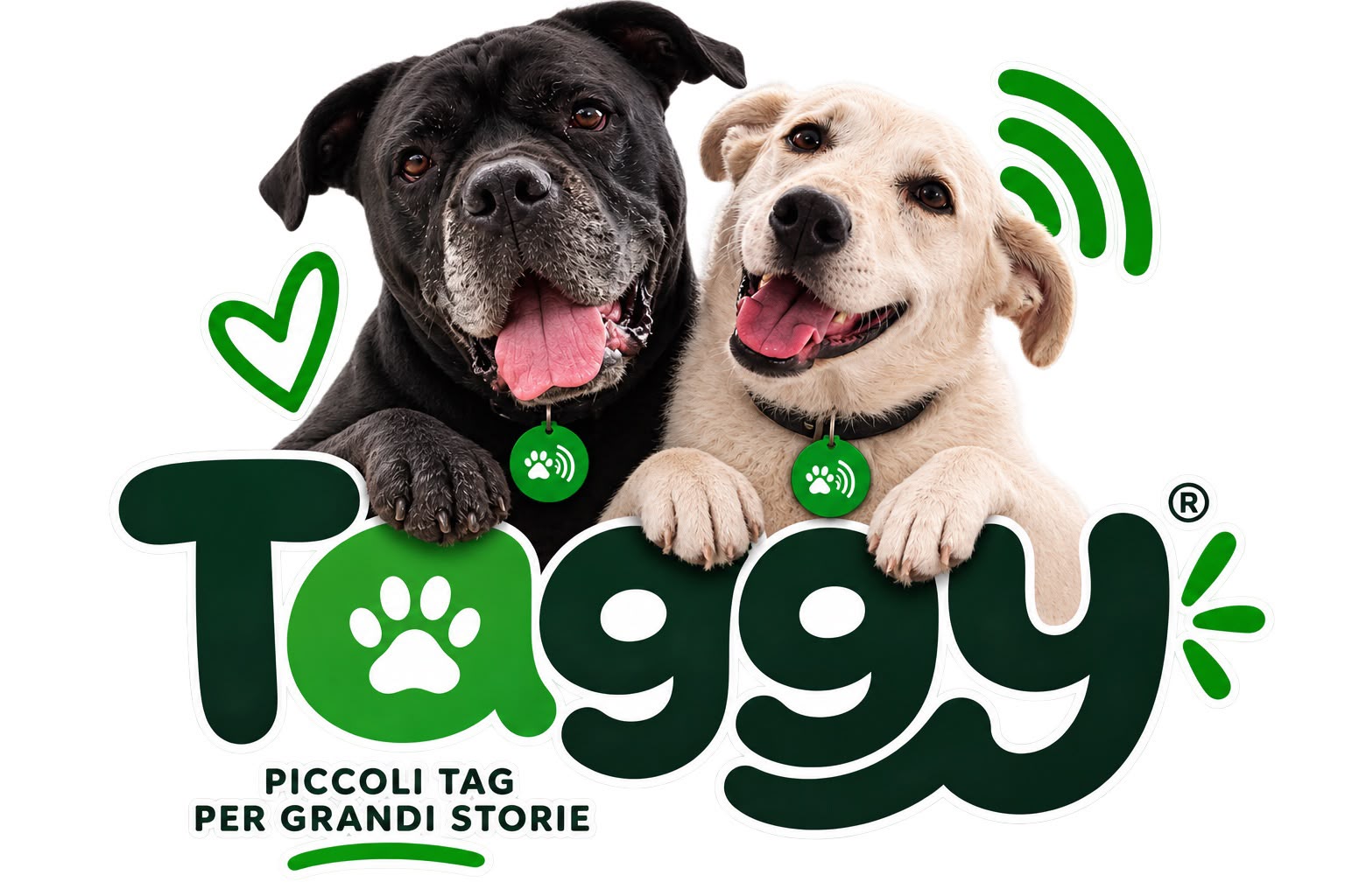 Logo Taggy Pet